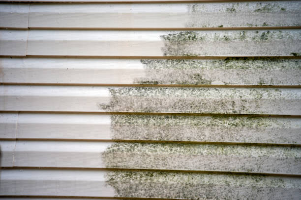 Best Wood Siding Installation  in Palm Coast, FL