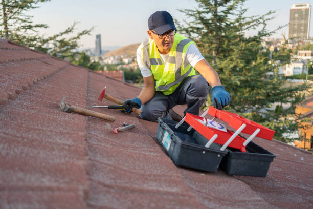 Best Historical Building Siding Restoration  in Palm Coast, FL