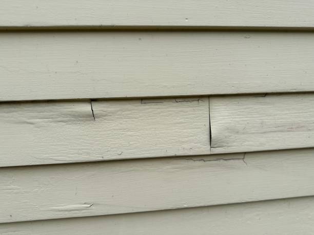 Affordable siding repair and maintenance services in Palm Coast, FL